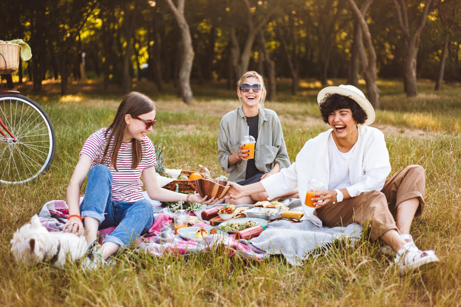 Co wziąć na piknik? – pomysły na przekąski i ciasto na piknik